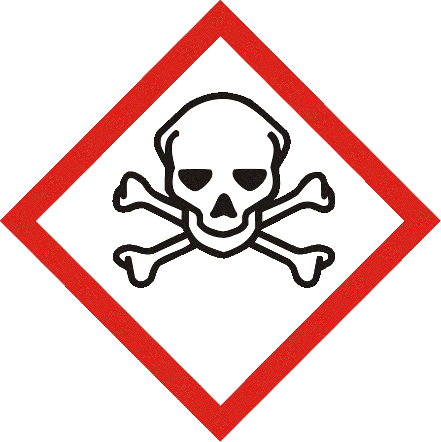 Dieses Bild steht leider gerade nicht zur Verfügung