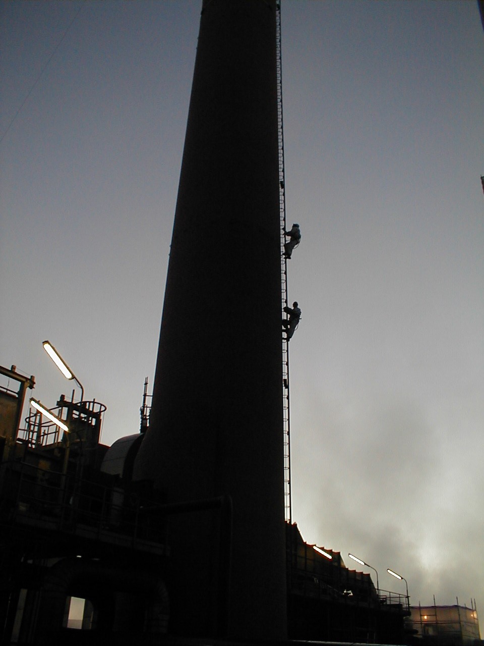 Dieses Bild steht leider gerade nicht zur Verfügung